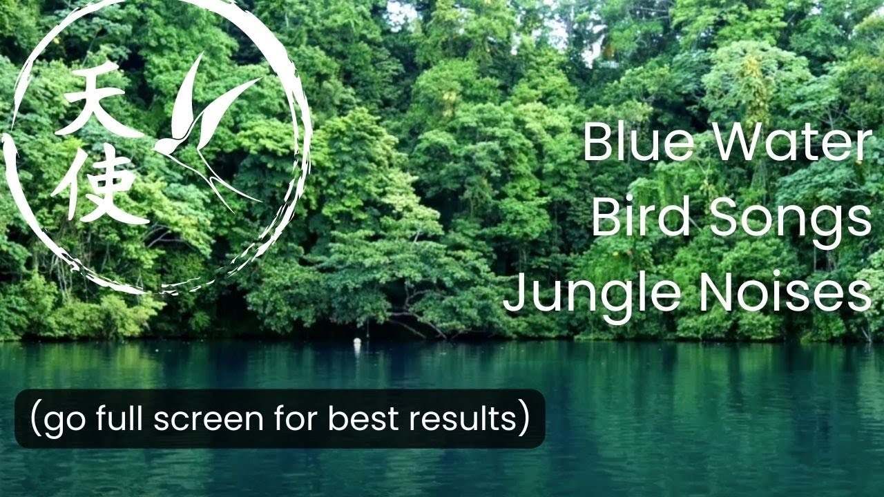 2 Hrs of Jungle Lagoon Ambience Somewhere in Ecuador... | Nature for work, study, and productivity
