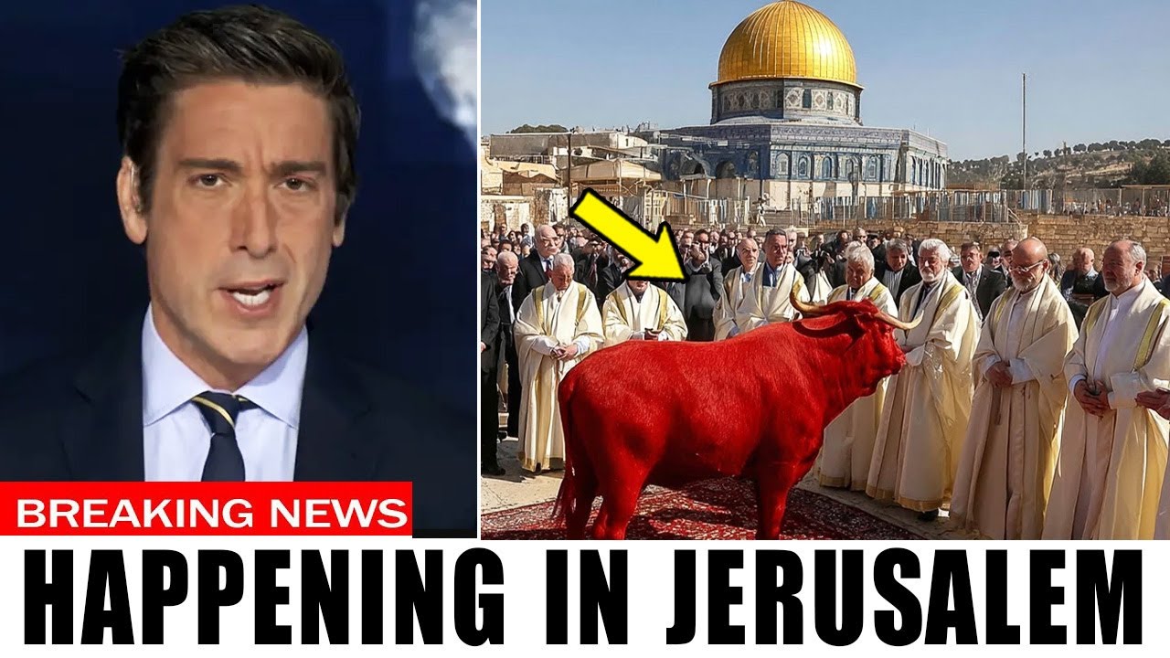The Third Temple Preparations Are Complete—Is This the Final Sign Before Christ Returns?