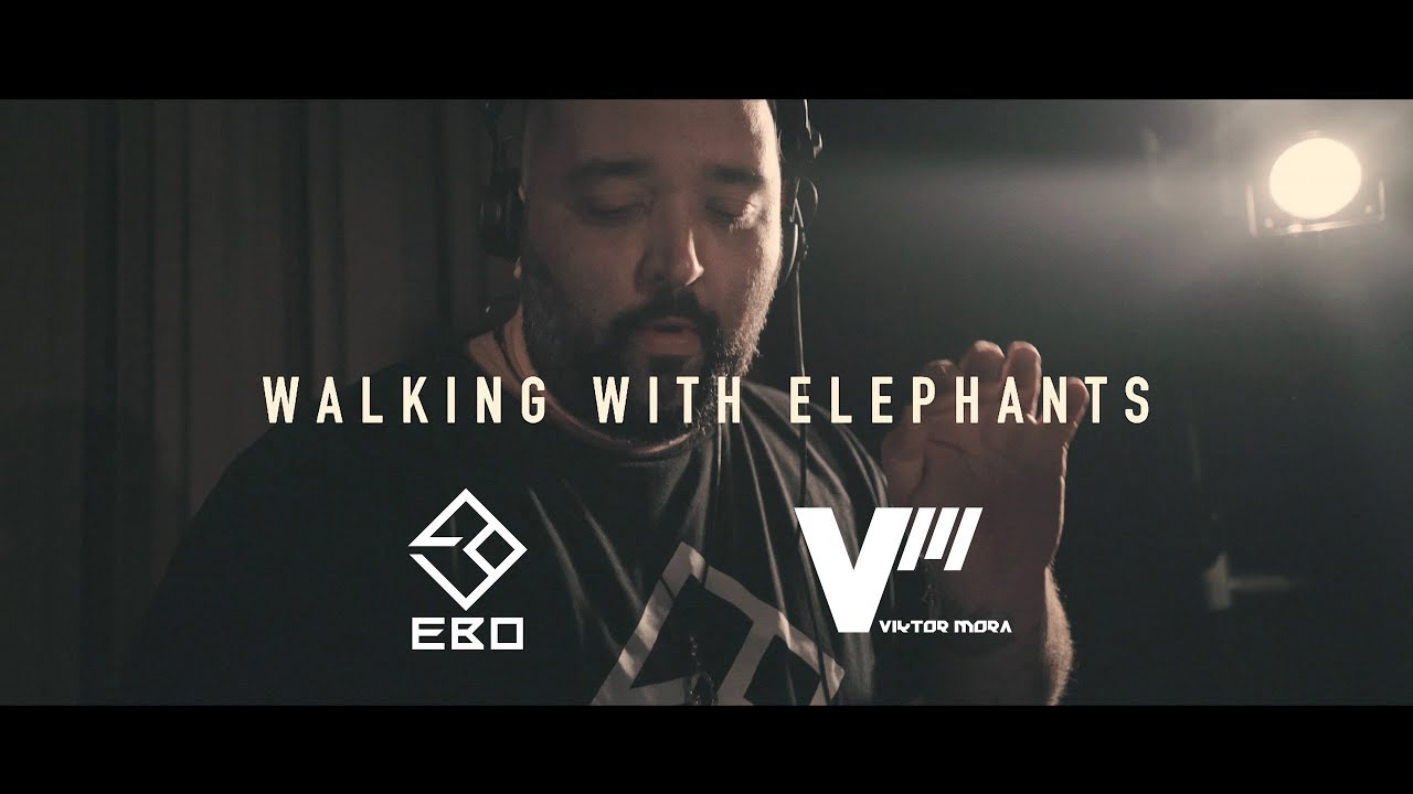 Ten Walls - Walking With Elephants (Viktor Mora & Electro Beat Orchestra EBO rework)
