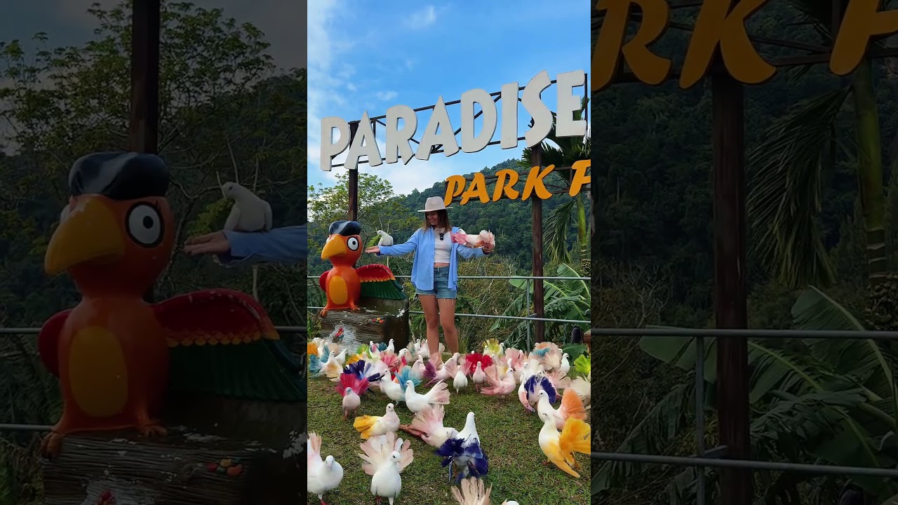 Топ 10 мест на острове Самуи в Таиланде #travel #путешествия #самуи #белыйлотос