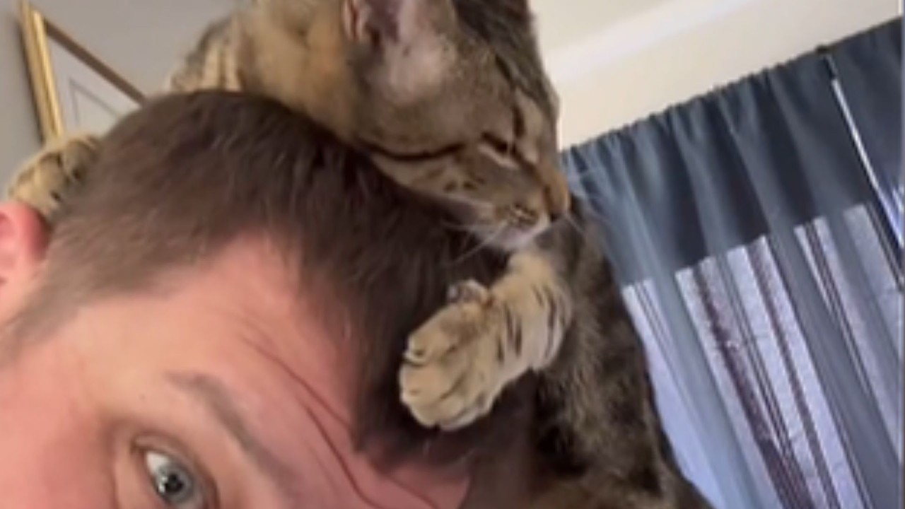 She Hides It Perfectly – The Truth About Scout's Eyes Broke His Heart