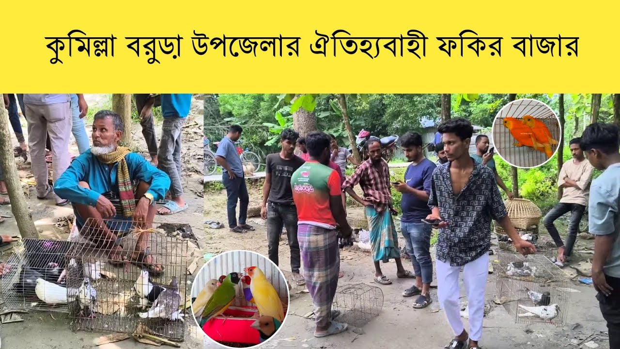 কুমিল্লা বরুড়া উপজেলার ঐতিহ্যবাহী ফকির বাজার পাখি ও কবুতরের হাট || Bird and Pigeon Market !