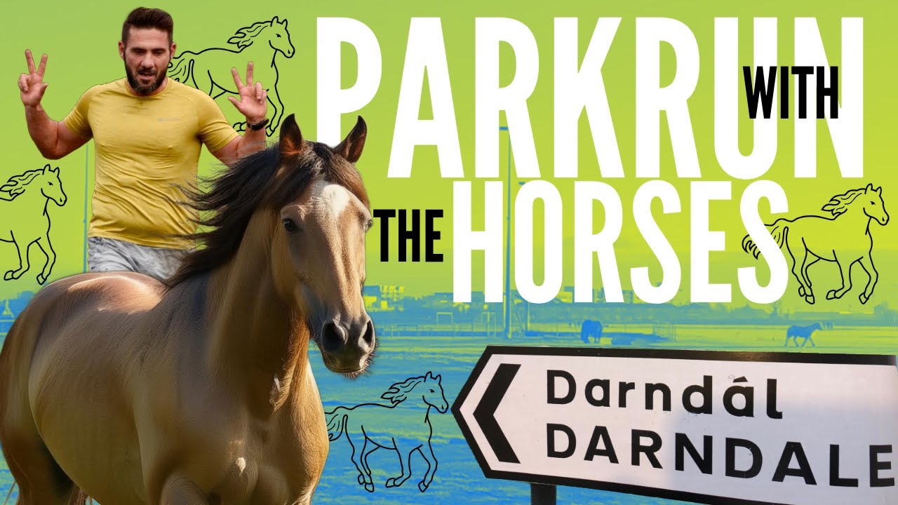 Dancing with horses at Darndale parkrun