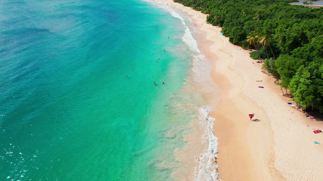Best Beaches🌴Caribbean Martinique 📍  Grande Anse des Salines 🎵 Deep House - Drone 4K (RF)