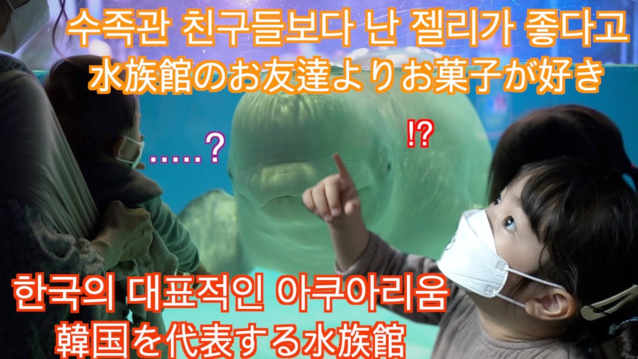 [한일부부/日韓夫婦/국제커플] 아쿠아리움에서 벨루가와 인사/하나의 미래 남친은!?/물고기 밥주기/アクアリウムでベルーガとこんにちは/お魚さんに餌をあげよう/Airtory/Aquarium