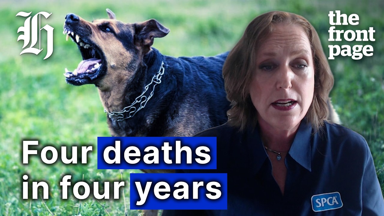 What will it take for dog laws to change in wake of another fatal attack? | The Front Page