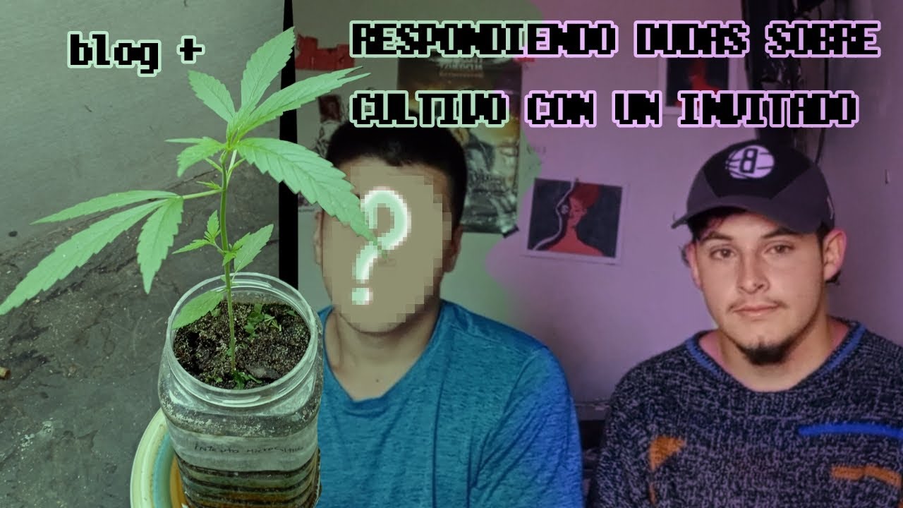 BLOG MICROCULTIVO + RESPONDIENDO A DUDAS DE CULTIVO DE SEGUIDORES