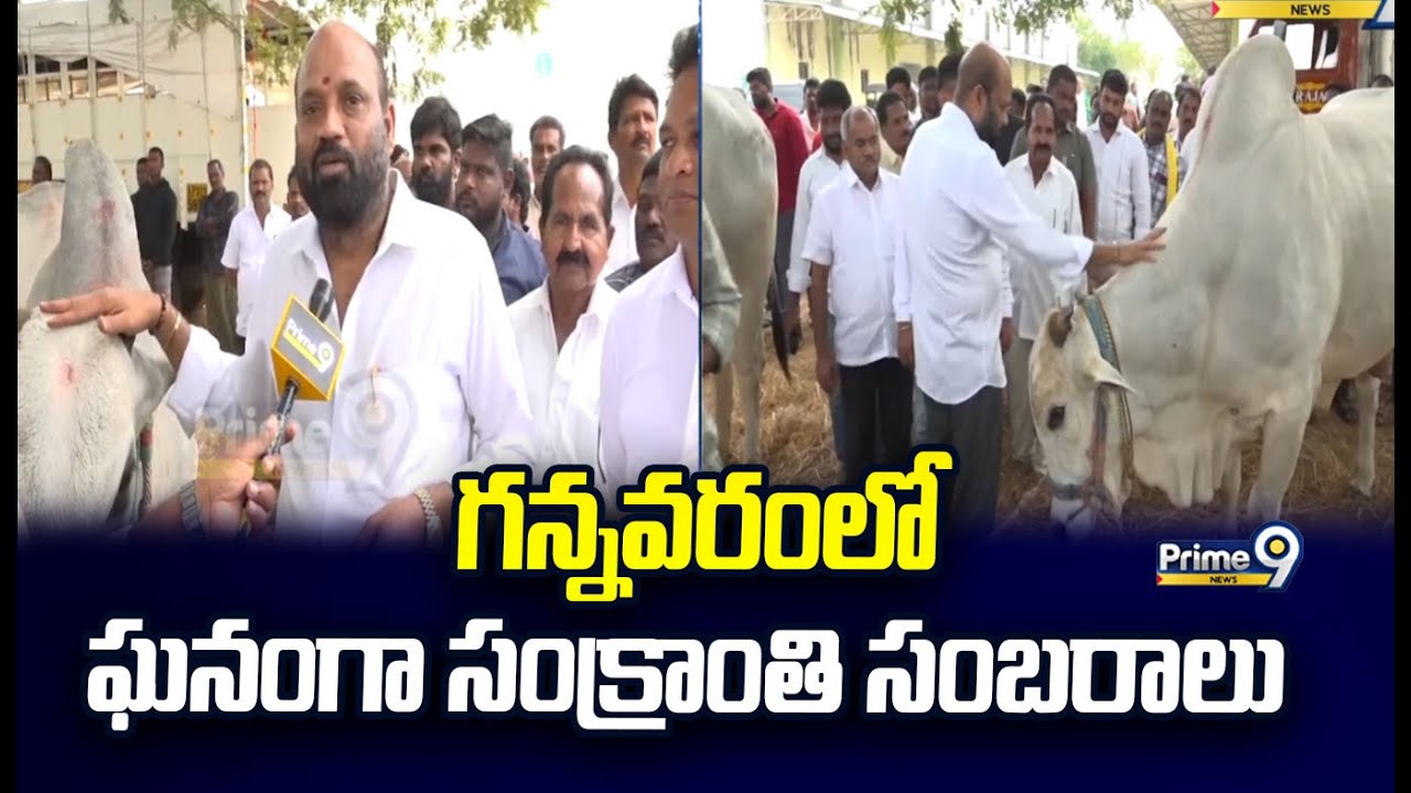 గన్నవరంలో ఘనంగా సంక్రాంతి సంబరాలు | Sankranthi Celebrations in Gannavaram | Prime9 News