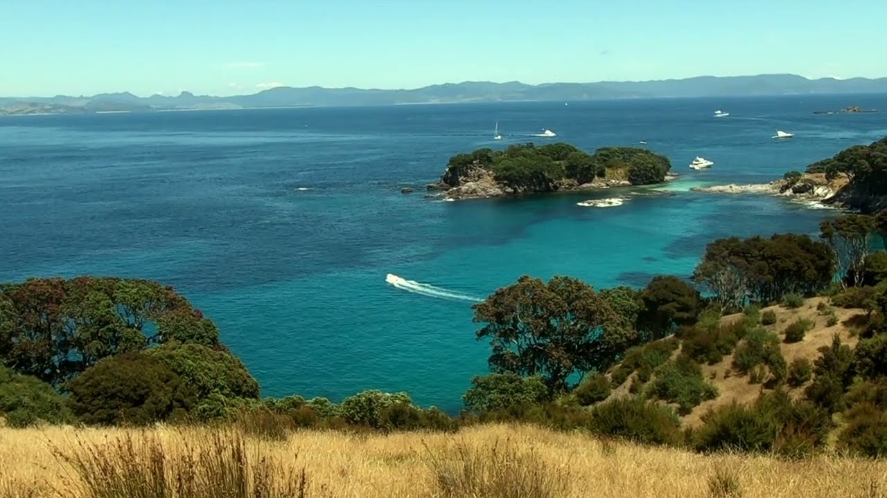 Sailing The Coromandel Coast