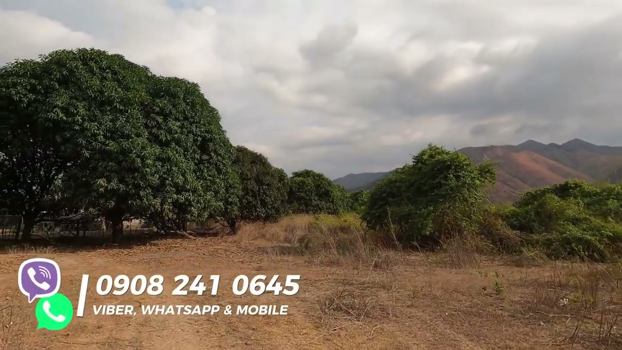 Ферма Mountain View площадью 3,9 гектара в Сан-Антонио, Замбалес.