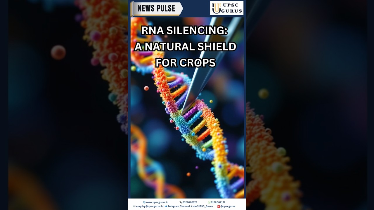 RNA Silencing: The Secret Weapon for Crops! UPSC GURUS NEWS PLUS  29/4/25