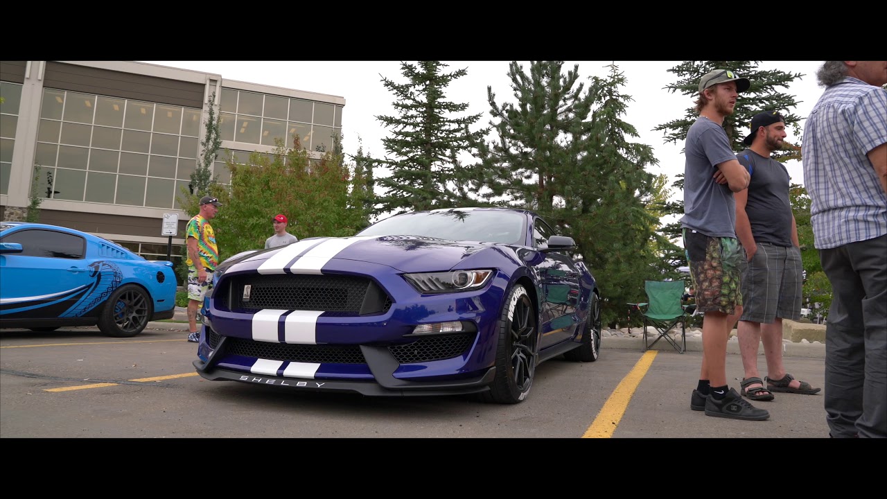 CARDEL PARK AND POLISH | Show Coverage