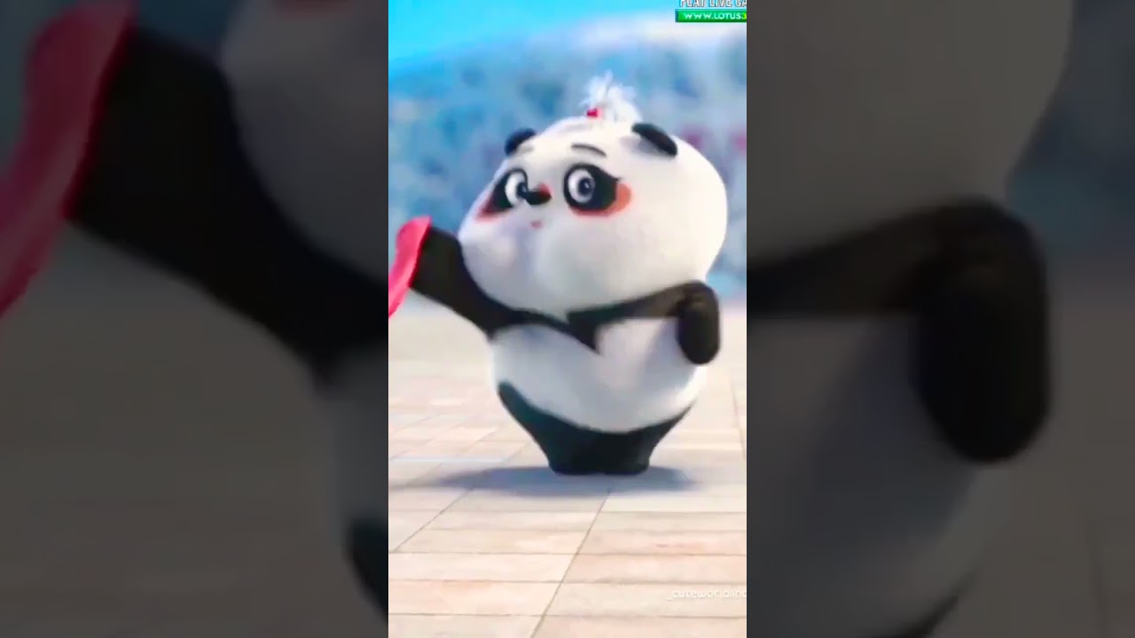 panda funny video 😂😂😂