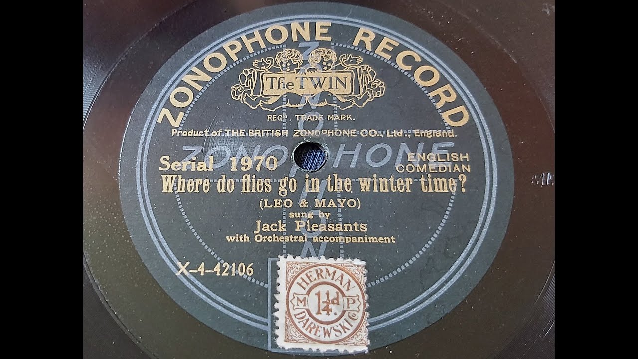 Jack Pleasants 'Where Do Flies Go In The Winter Time?' Acoustic 1919 78 rpm