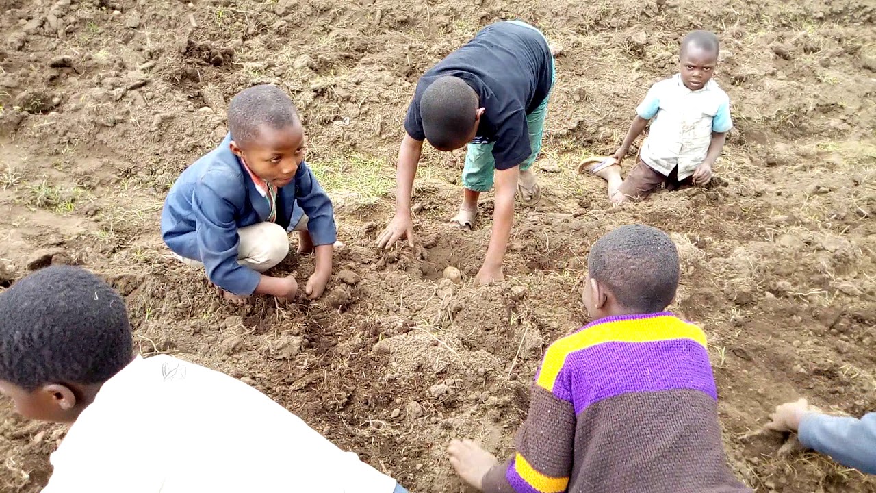 Gisozi SDA Church Youth Ministries projects