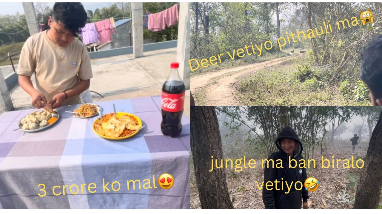 Malani Jada deer ko bacha dakhyo😱#LalLu😎#nawalpur kawasoti