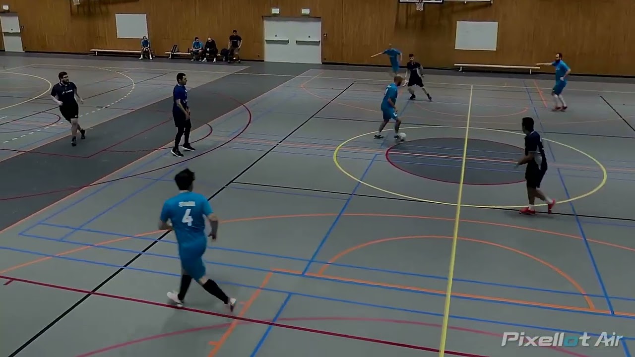 LNDS v NSI