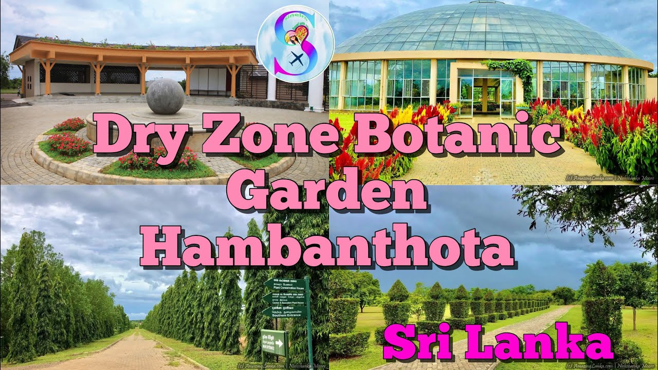 Sri Lankan 🇱🇰 Dry Zone Botanical Garden Hambantota visit 2025 