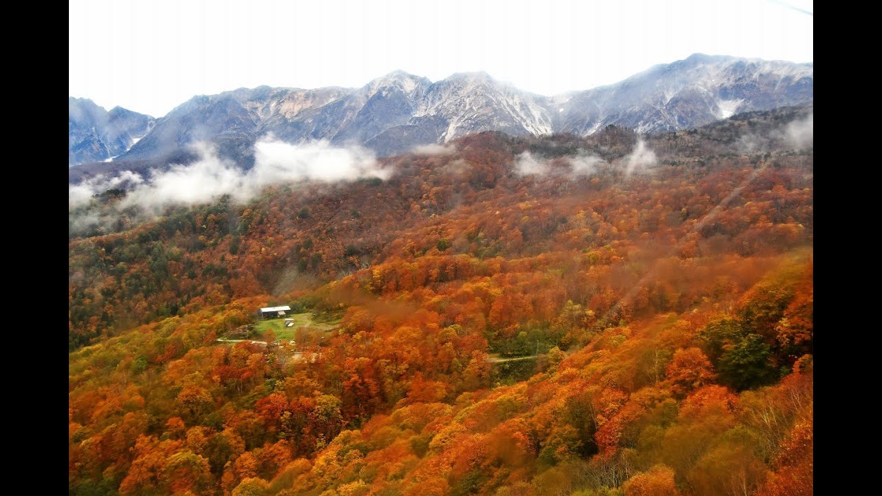 2025 10 22栂池高原 白馬大雪渓と裾野に広がる紅葉