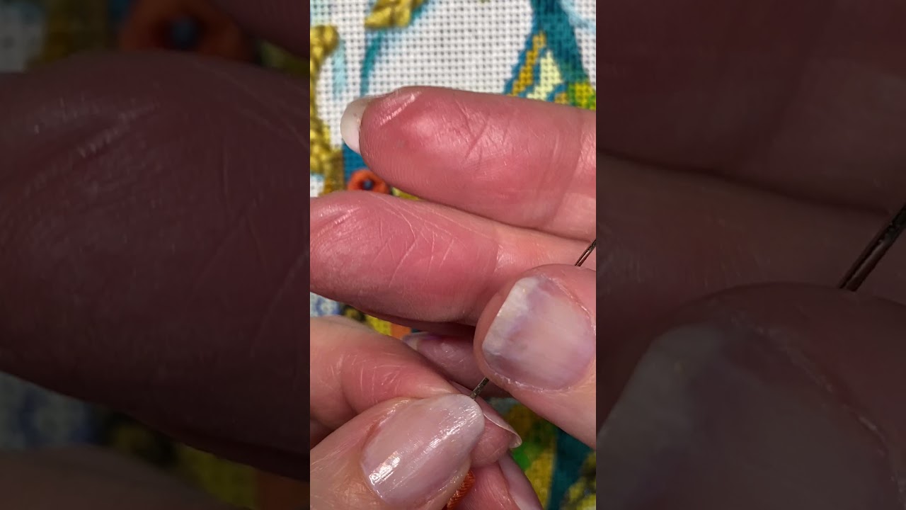 Ribbon Roses on Needlepoint