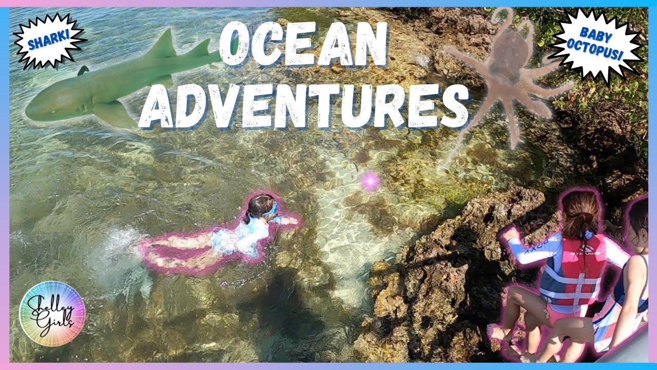 Ocean Adventures with the Shelley Girls. Shark encounter and baby octopus!!!