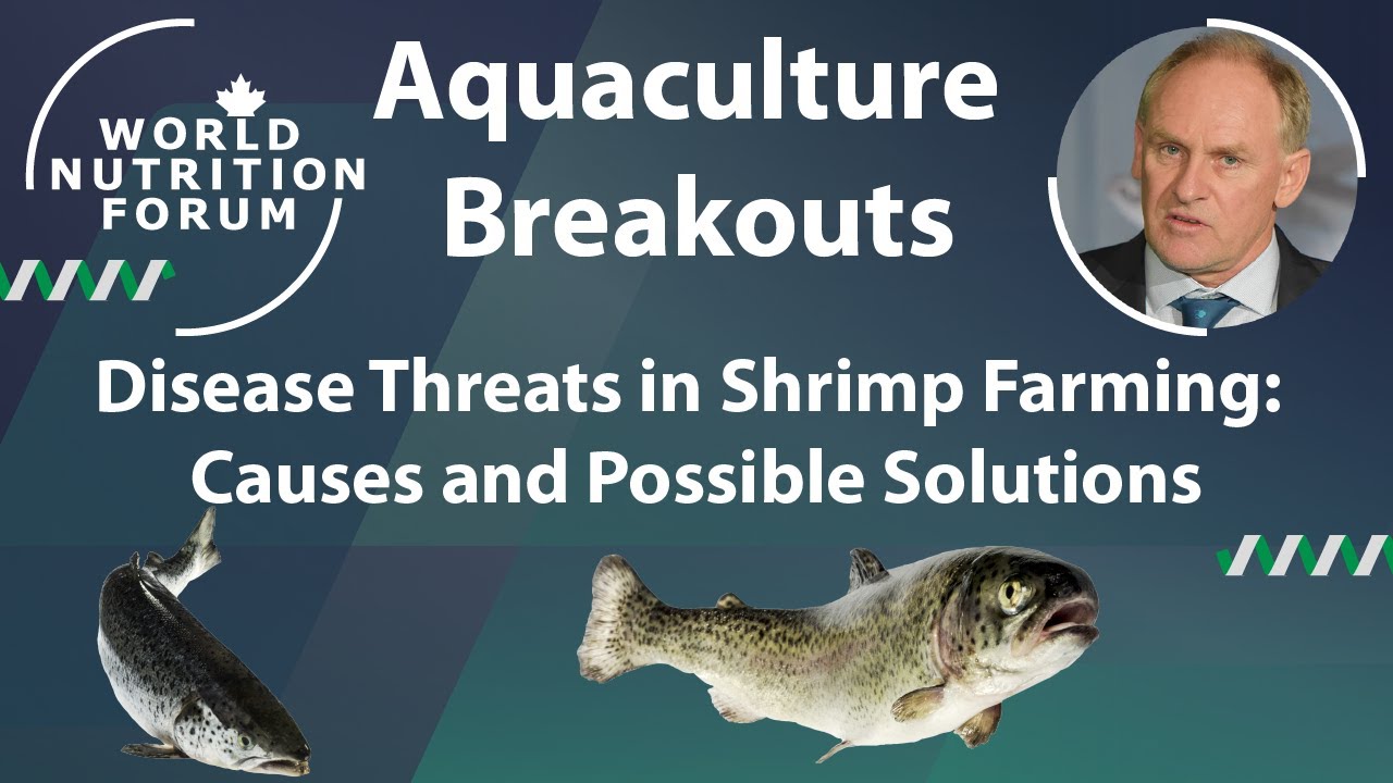 WNF 2016 Aquaculture Breakouts: 05 Disease Threats in Shrimp Farming: Causes and Possible Solutions