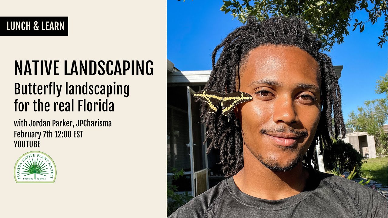 L&L - Native Landscaping - Butterfly landscaping for the real Florida with JPCharisma