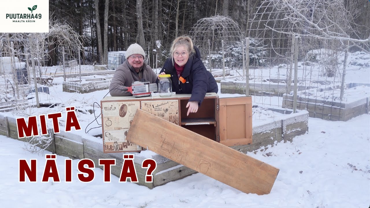 Ideat kukkii talvellakin – mitä näistä oikein syntyy?