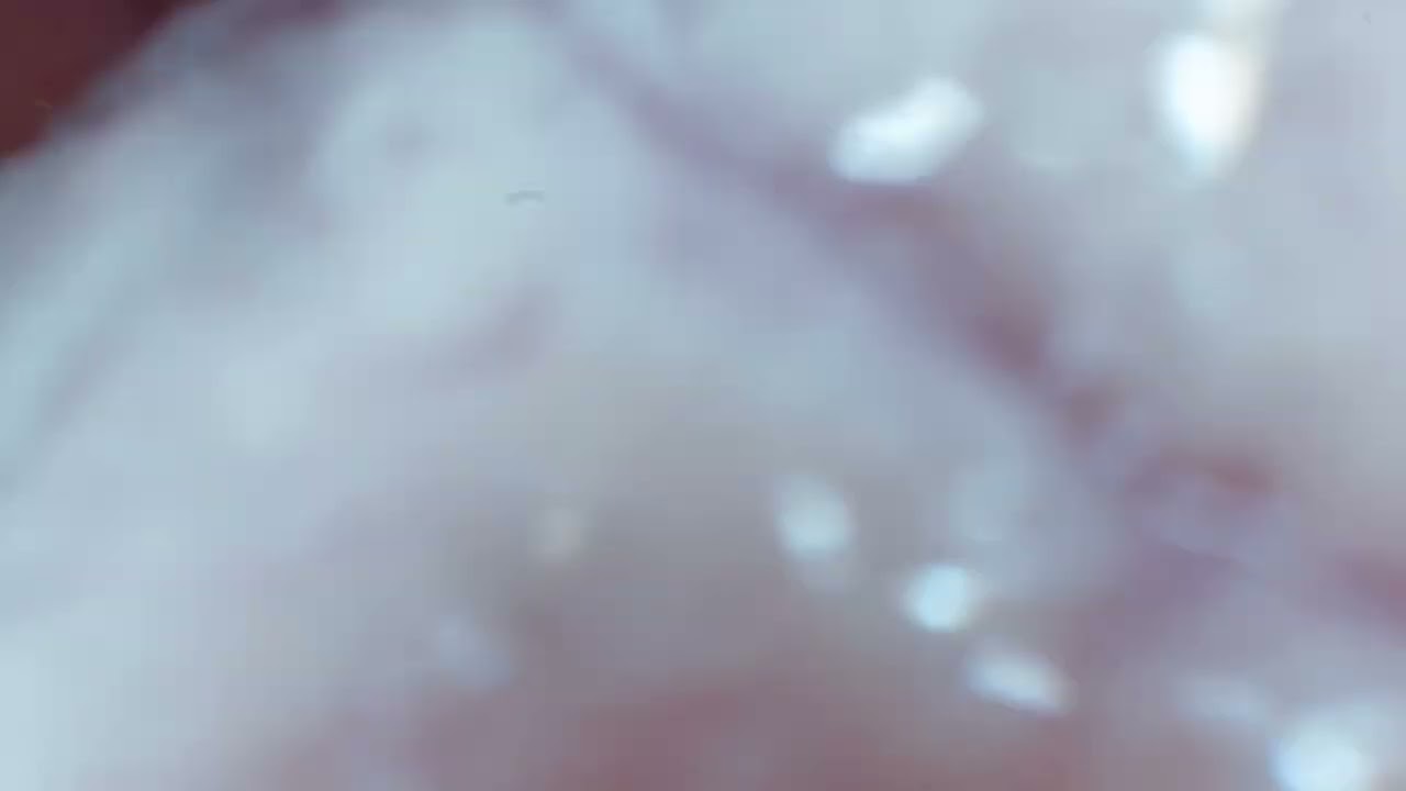 Mouthcam(YUKI01)