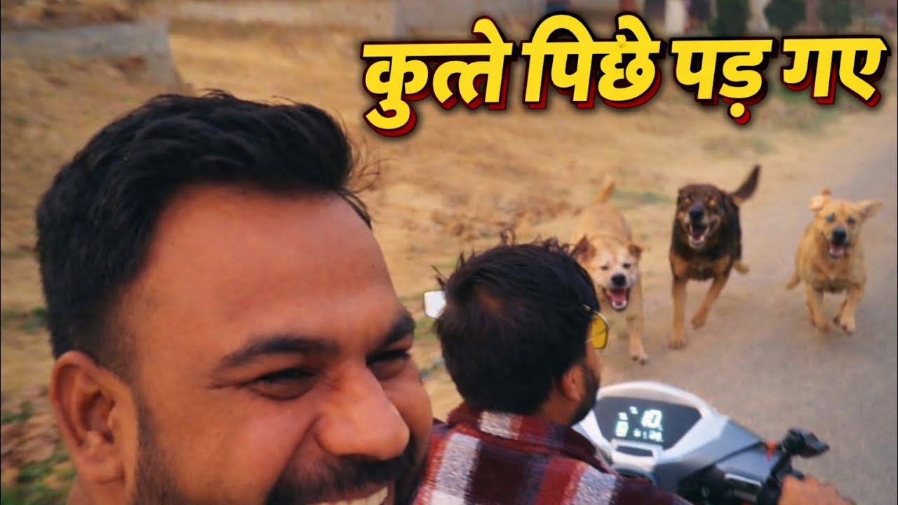 Scooty vs kutte dogs funny vlogs 