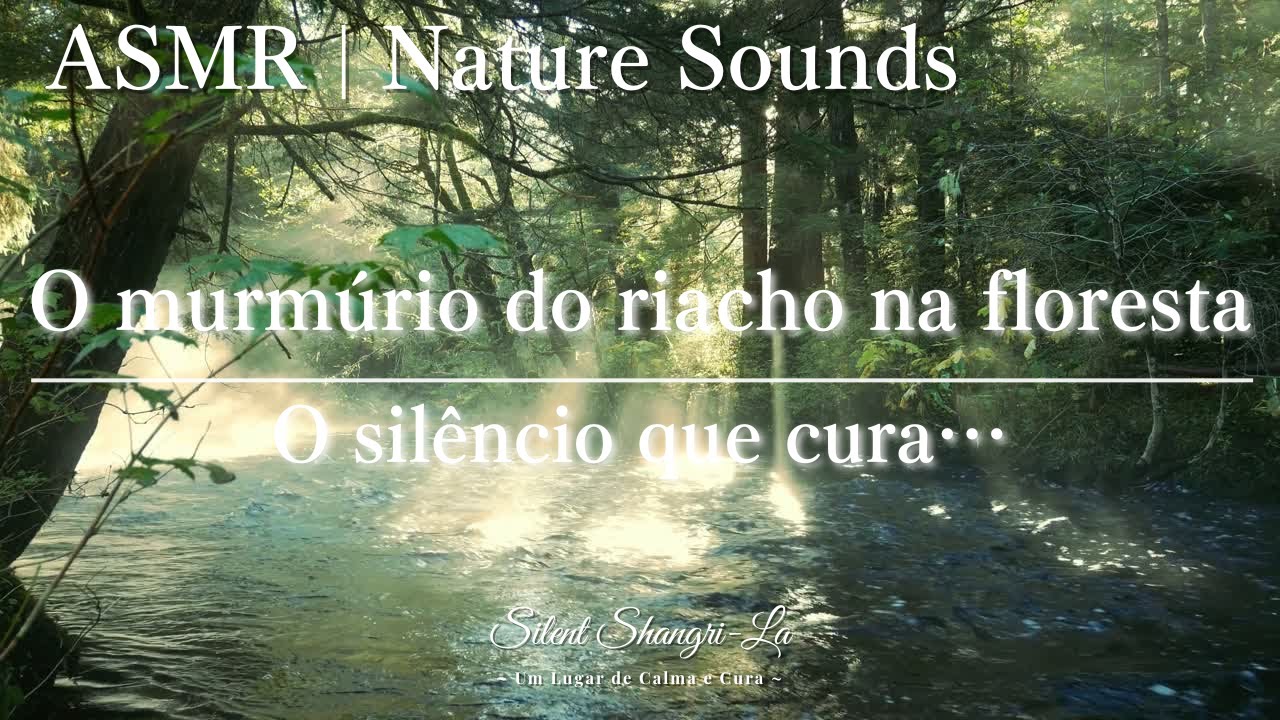 【ASMR/Sons da Natureza】O murmúrio do riacho na floresta – O silêncio que cura【Sono/ Meditação】