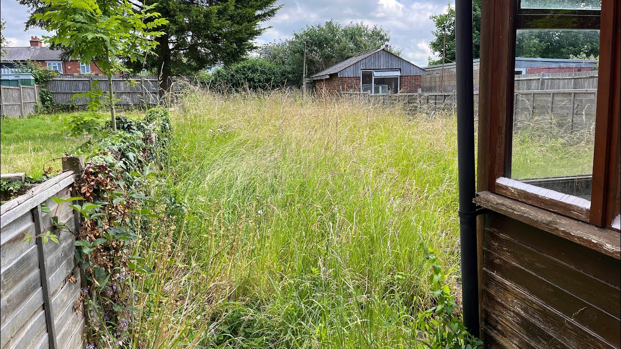 This OVERGROWN BackYard had Not been Tidied for over a Year!😲