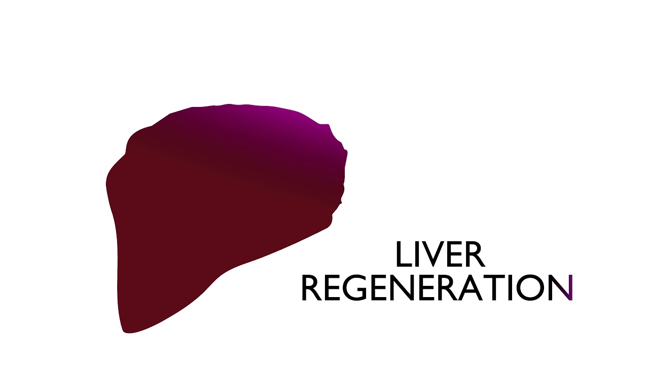 Liver Regeneration Following Living Liver Donation