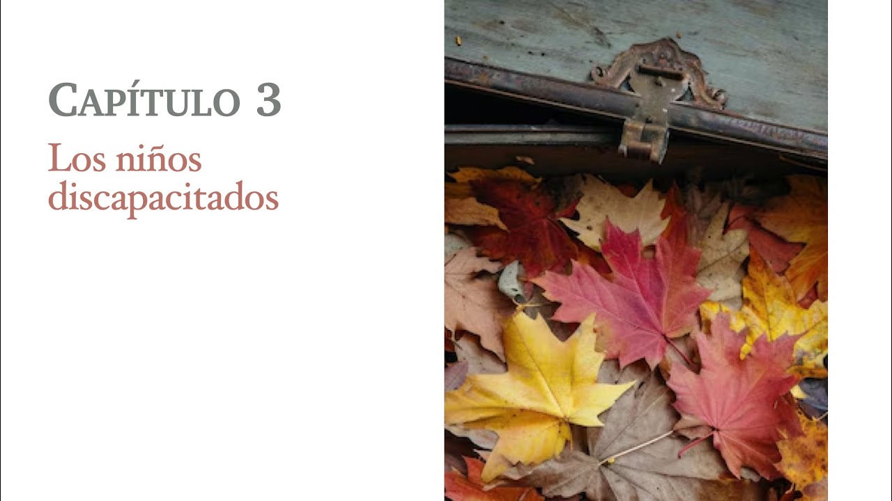 El Plan de tu Alma. Robert Schwartz. Capítulo 3. (audiolibro)