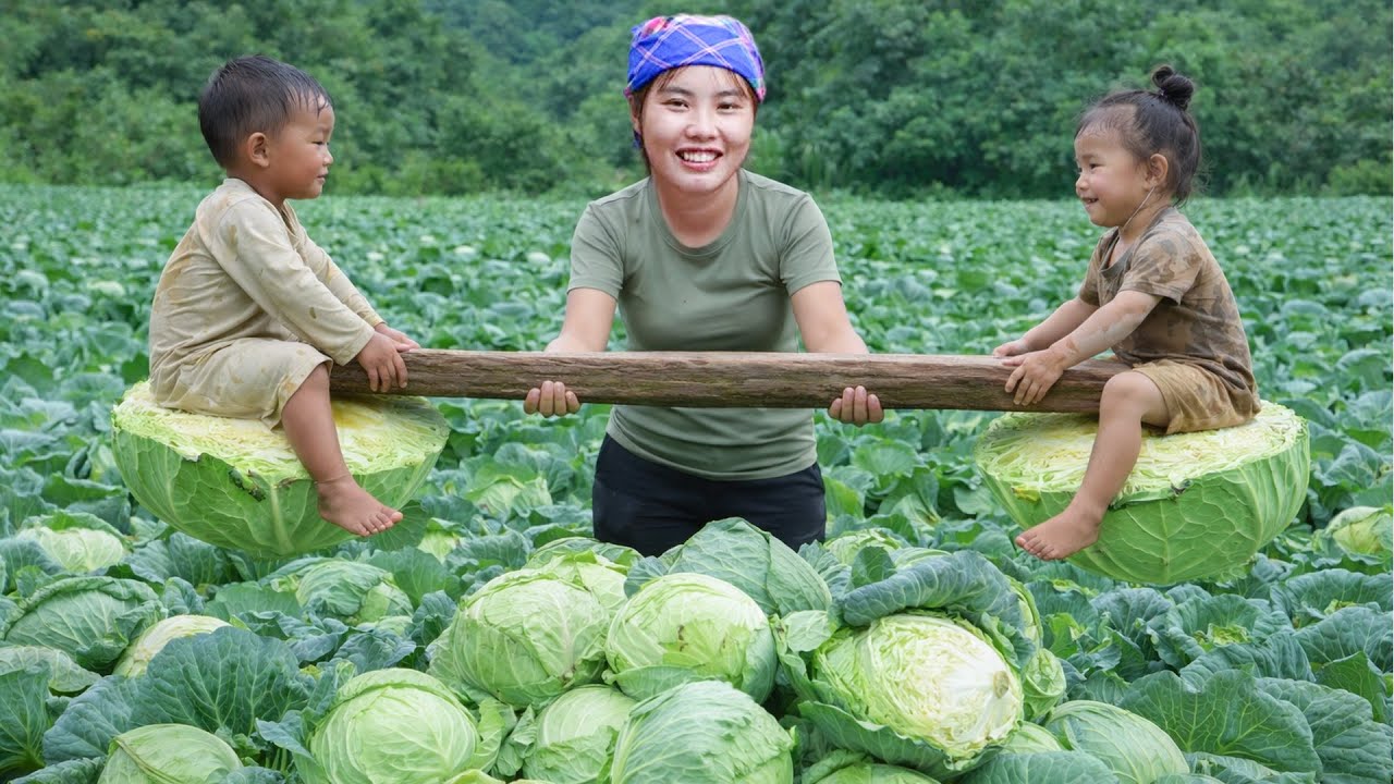 雨天收割高麗菜，捕捉大魚，為女兒煮飯。