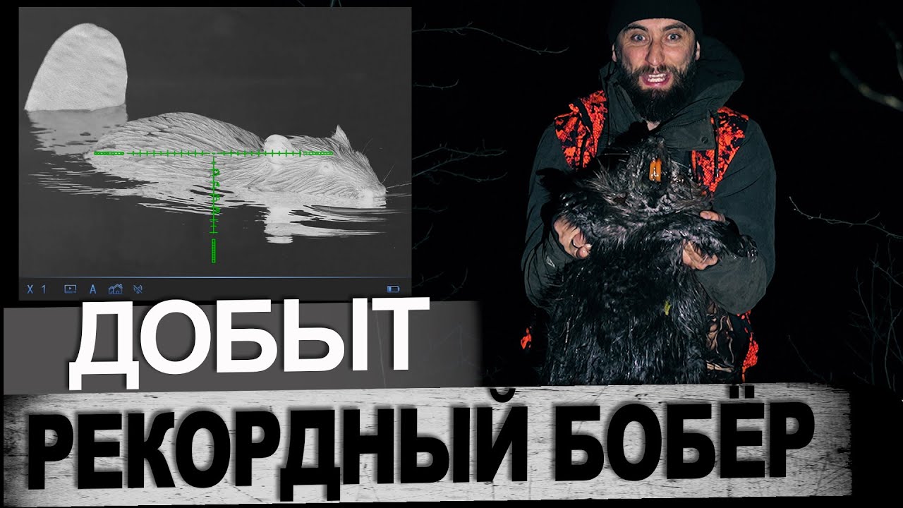 Охота на Бобра /Добыл на тридцаточку