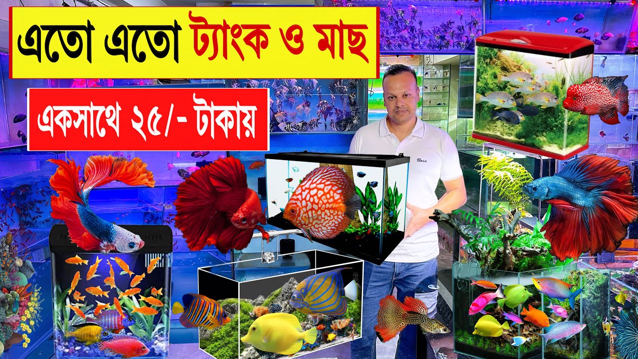 25/- টাকায় 🔥মাছ ও অ্যাকুরিয়াম/ট্যাংক কিনুন | aquarium fish price in bd | katabon fish market 2024