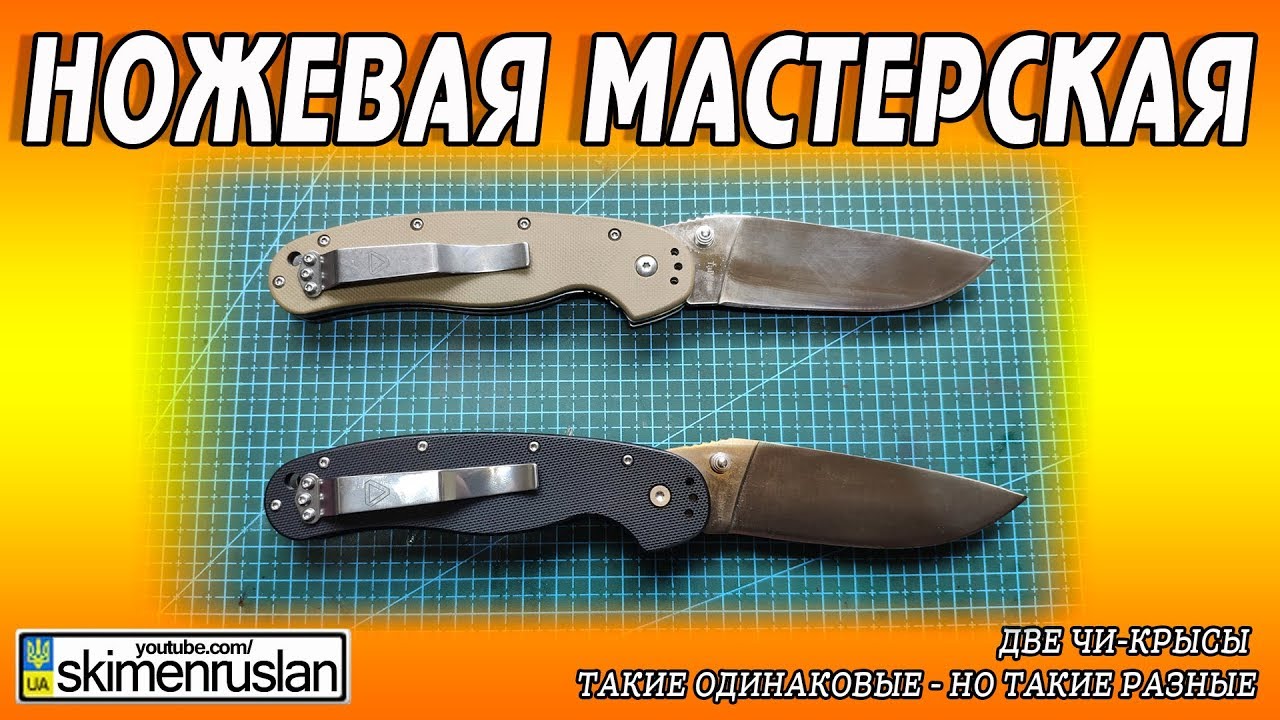 ДВЕ ЧИ-КРЫСЫ, ТАКИЕ ОДИНАКОВЫЕ - НО ТАКИЕ РАЗНЫЕ