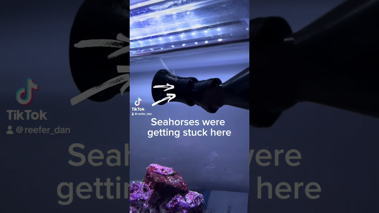 Modified my random flow generator for my nano reef tank.