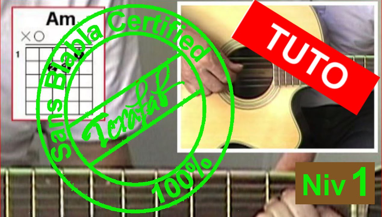 Stewball - Hugues Auffray [Tuto Guitare] by Terafab