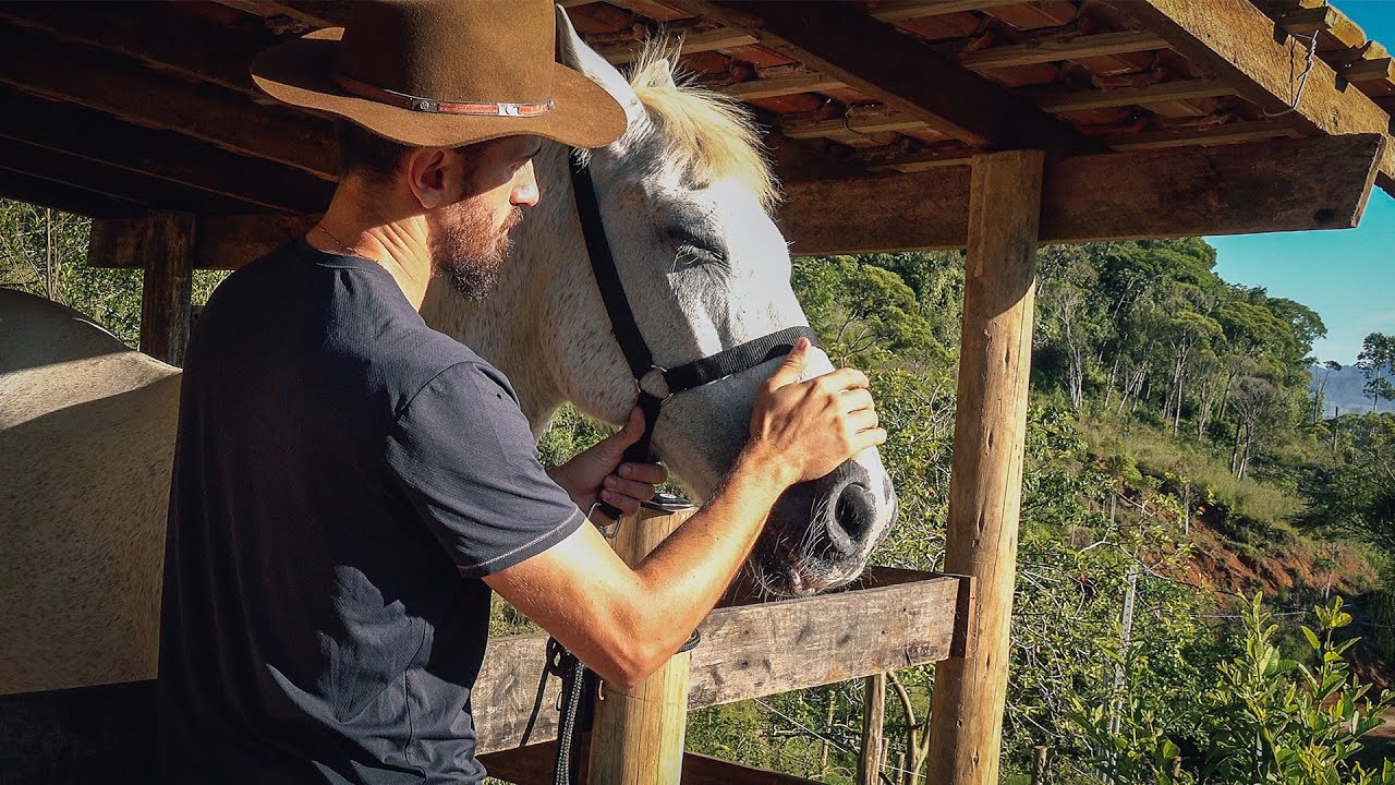 Novo bebedouro para a égua e ninhos para pássaros - Rancho SV