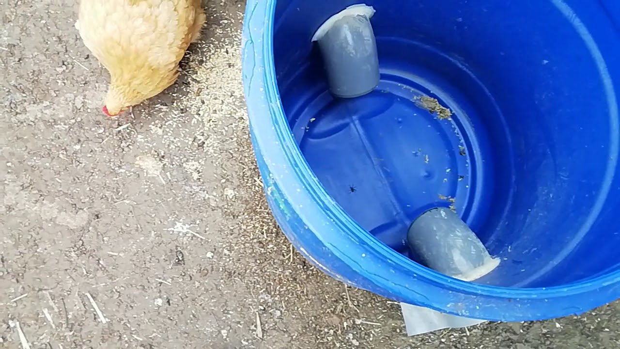 Présentation de mes mangeoire fait maison