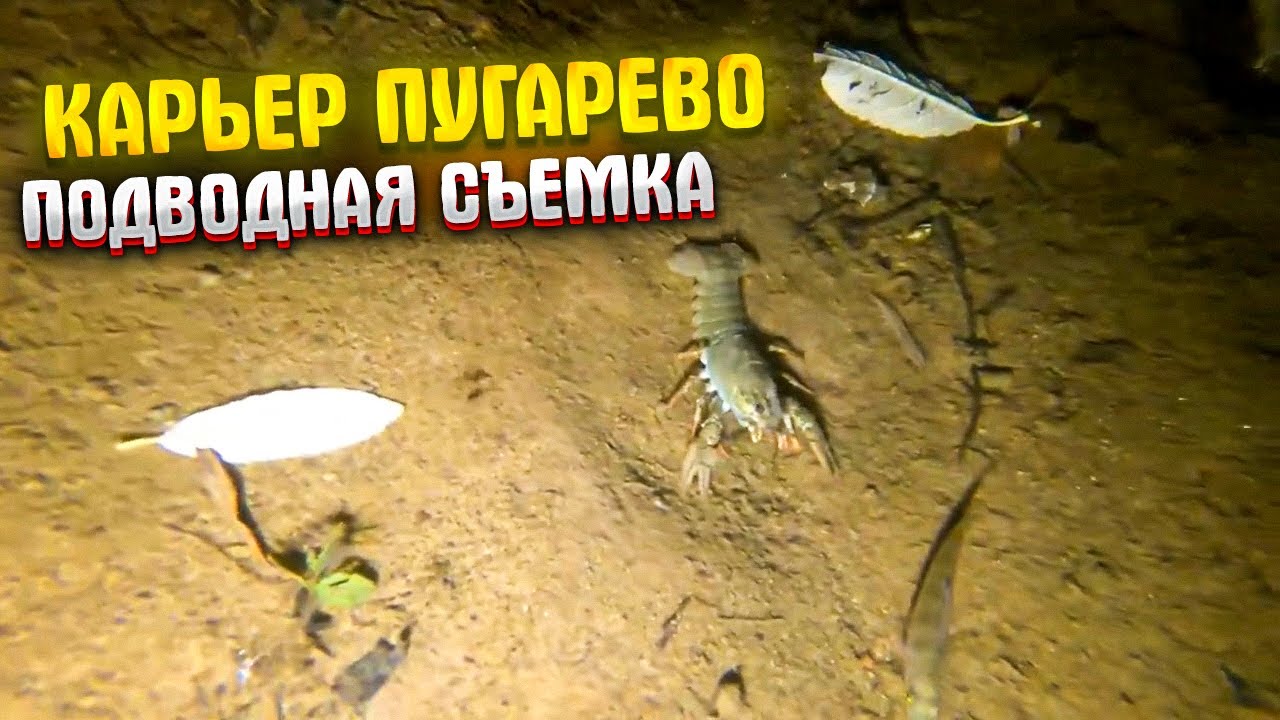 Карьер Пугарево, подводная съемка, 2021.