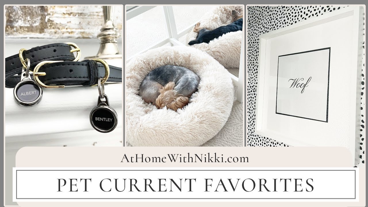 Pet Current Favorites