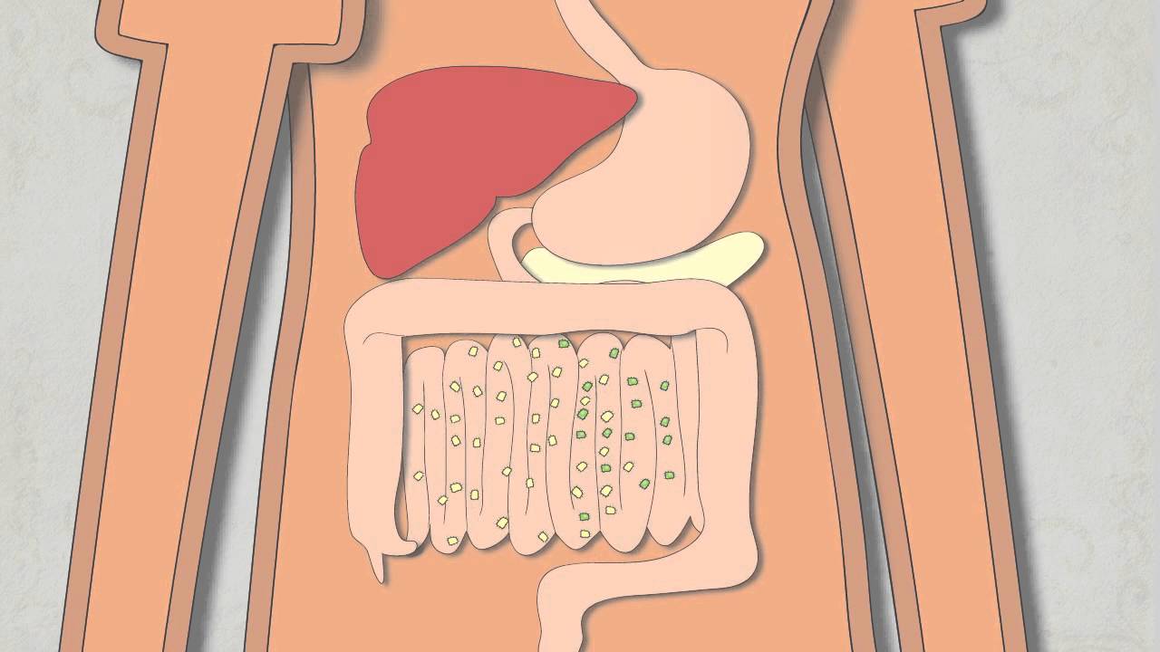 What is a Probiotic? How do Probiotics Work? ... Well it Depends...