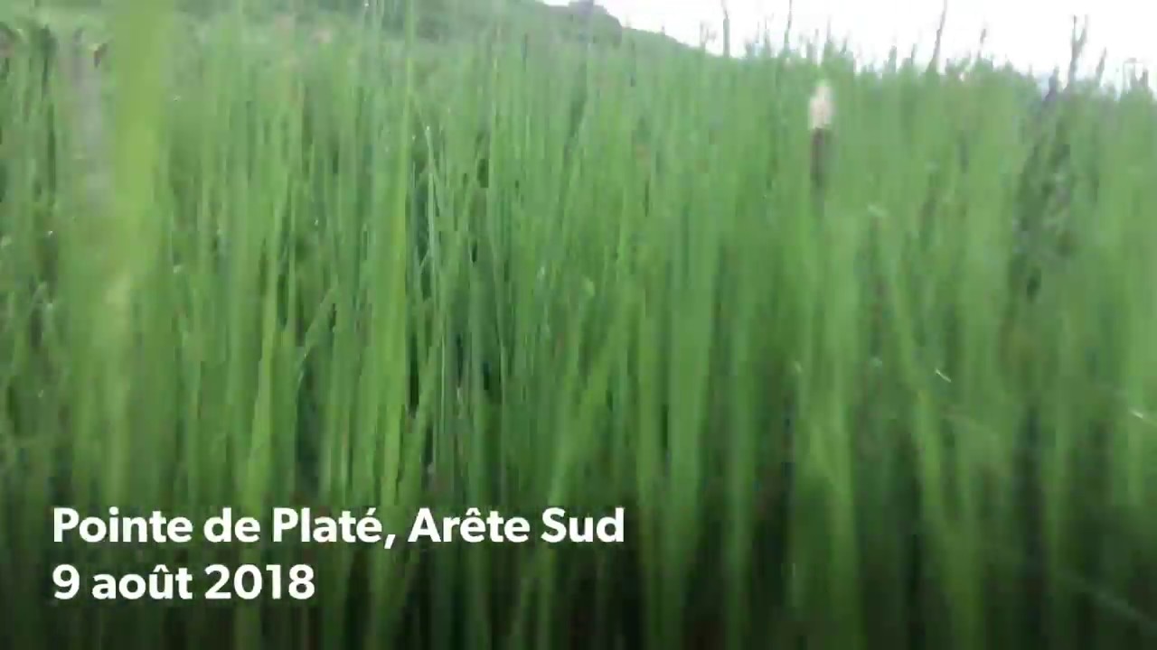Pointe de Plat&eacute;, Ar&ecirc;te Sud