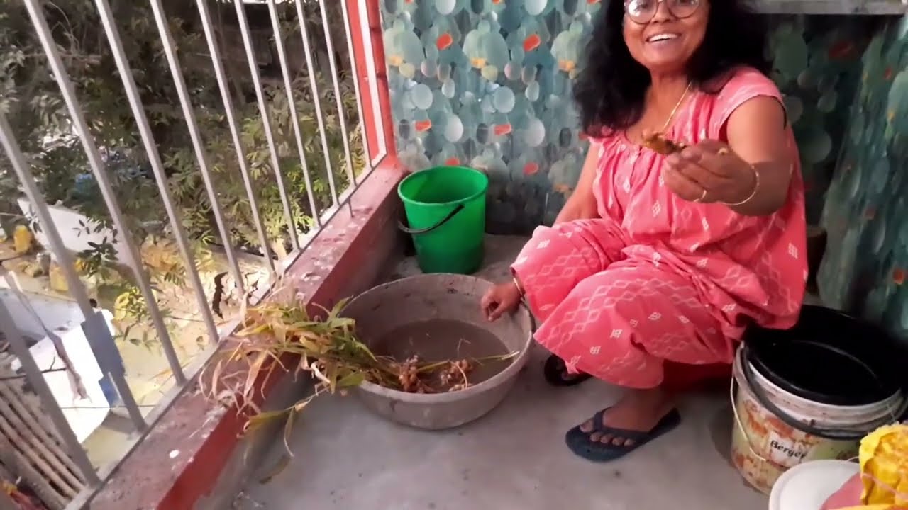 ছাদ বাগানের নতুন ফসল। #অনুবাগান 