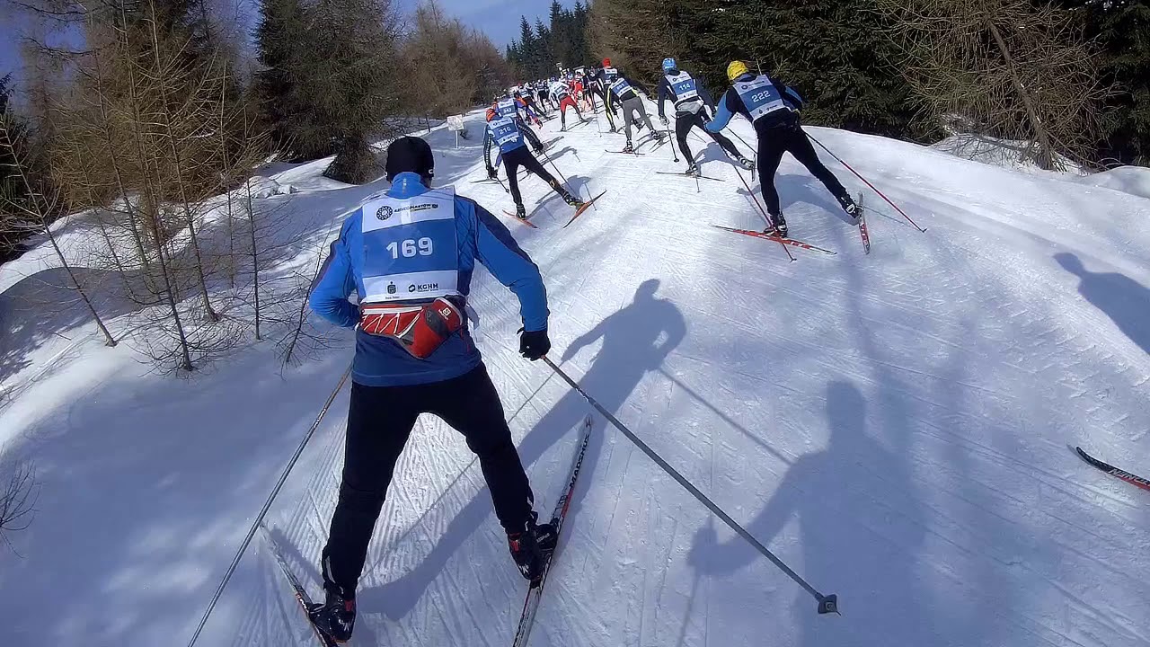 Bieg Piastow - 2.3.2018