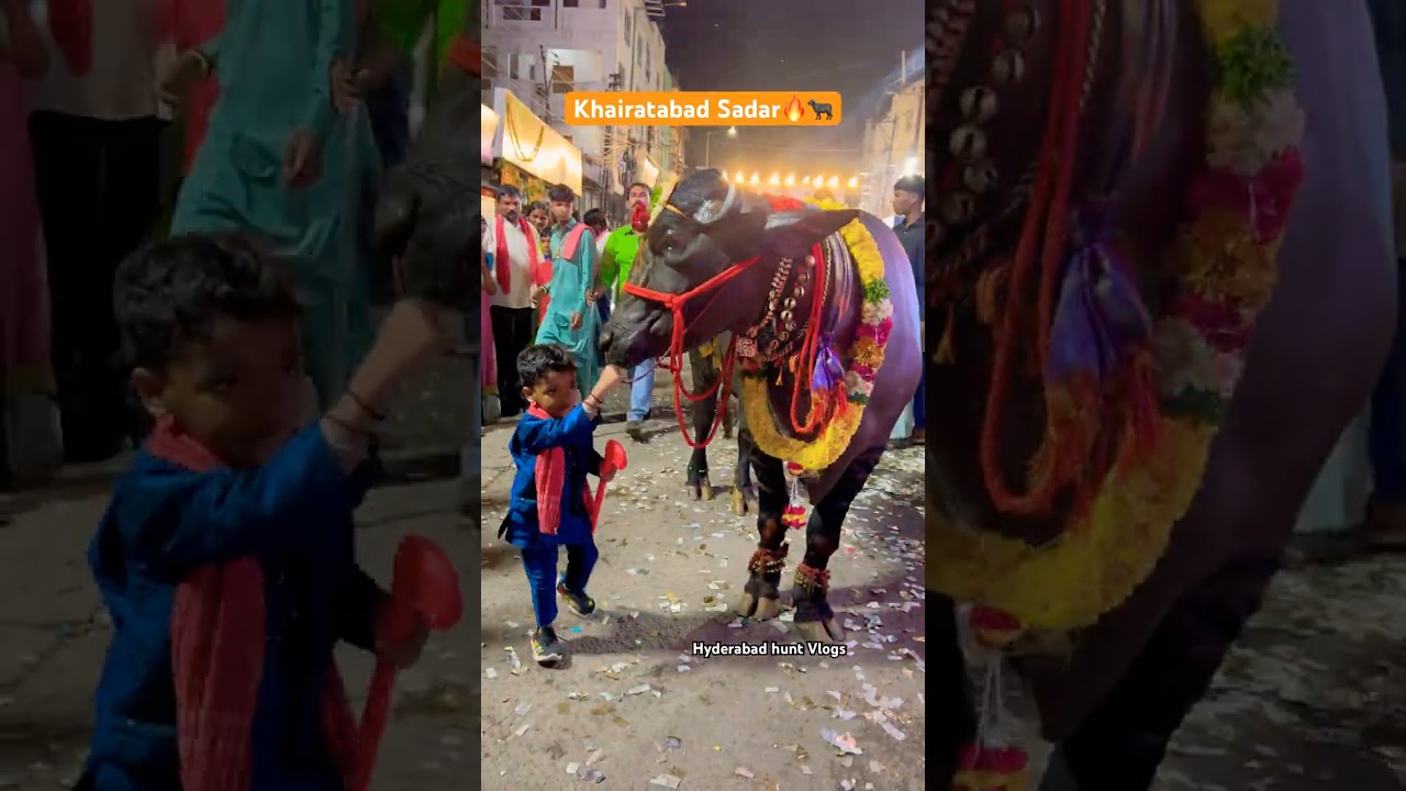 The way he handles the bull is awesome. Khairatabad Sadar | Sadar sayyaata | 