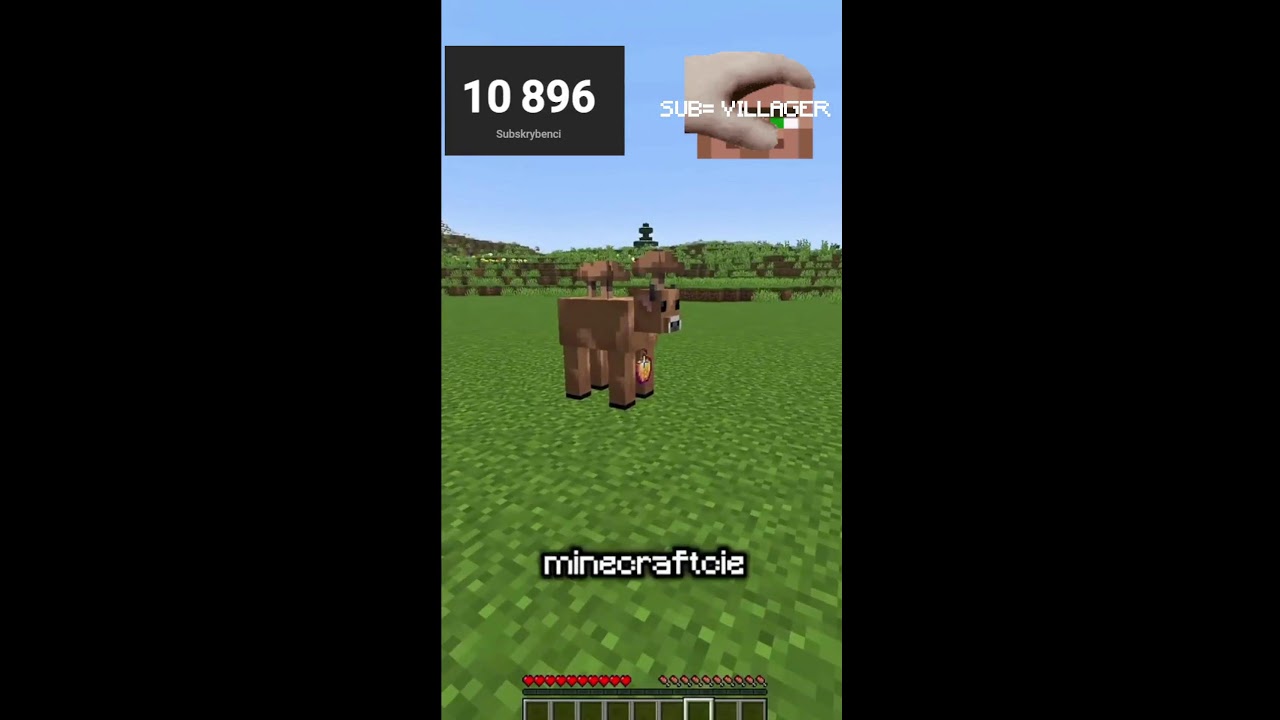 TOP 50 CIEKAWOSTEK MINECRAFT LIVE !!!  #dlaciebie #shorts #minecraft